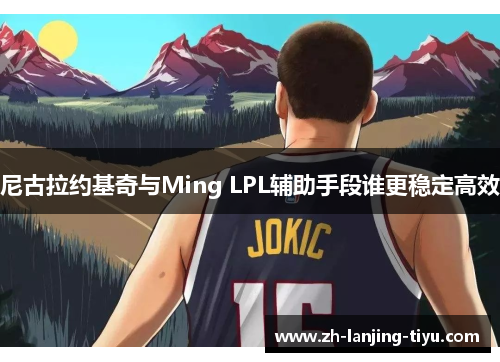 尼古拉约基奇与Ming LPL辅助手段谁更稳定高效