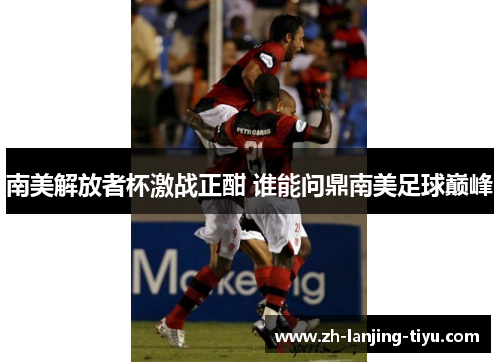 南美解放者杯激战正酣 谁能问鼎南美足球巅峰