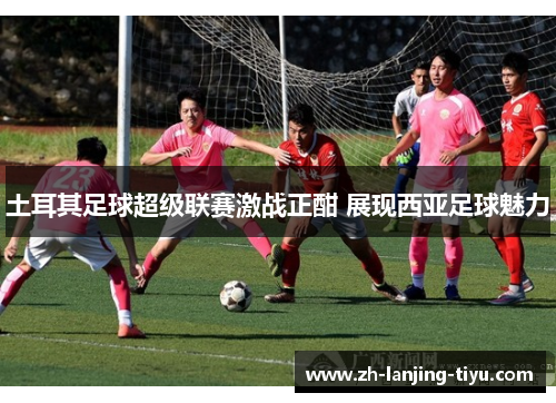 土耳其足球超级联赛激战正酣 展现西亚足球魅力